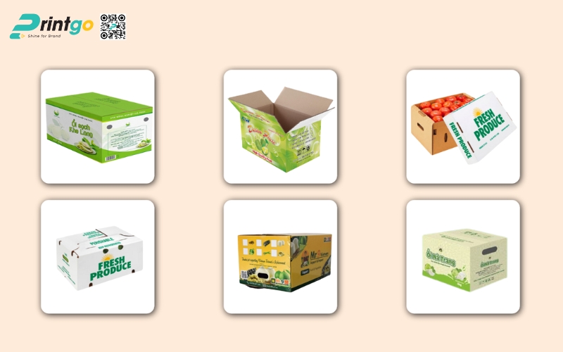 Bộ sưu tập 99 mẫu bao bì xuất khẩu trái cây nổi bật Bộ sưu tập 99 mẫu bao bì xuất khẩu trái cây nổi bật