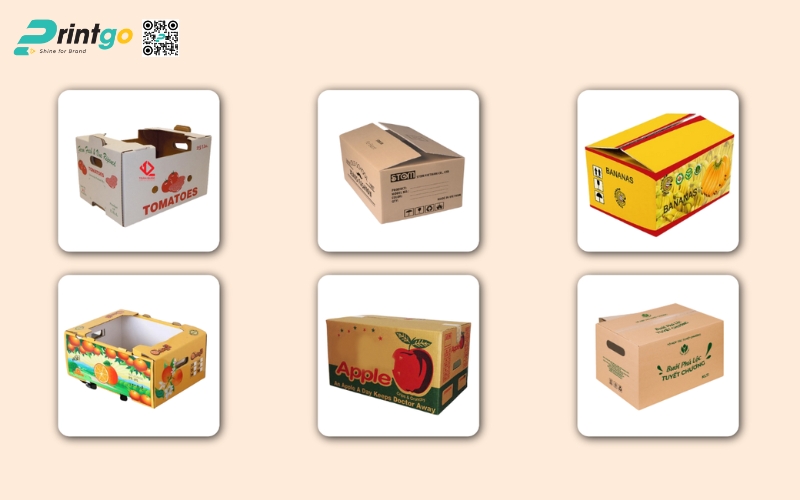 Vì sao bao bì xuất khẩu trái cây quyết định thành bại trong hành trình xuất khẩu nông sản? Vì sao bao bì xuất khẩu trái cây quyết định thành bại trong hành trình xuất khẩu nông sản?