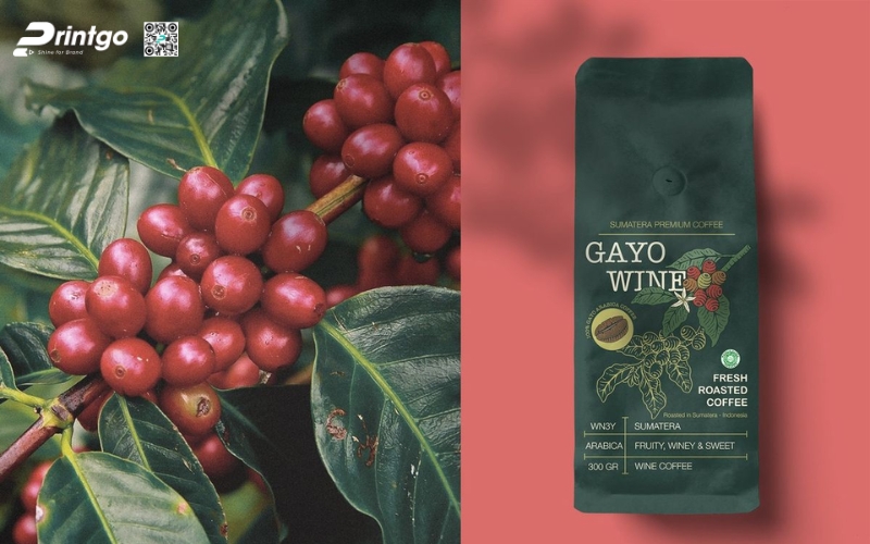 Những xu hướng thiết kế bao bì xuất khẩu cà phê trong năm 2025 Những xu hướng thiết kế bao bì xuất khẩu cà phê trong năm 2025