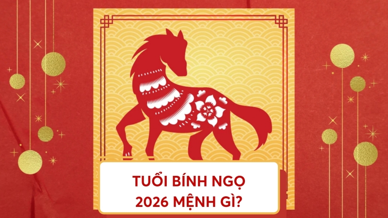Năm 2026 là năm con gì? Mệnh gì? Năm 2026 là năm con gì? Mệnh gì?