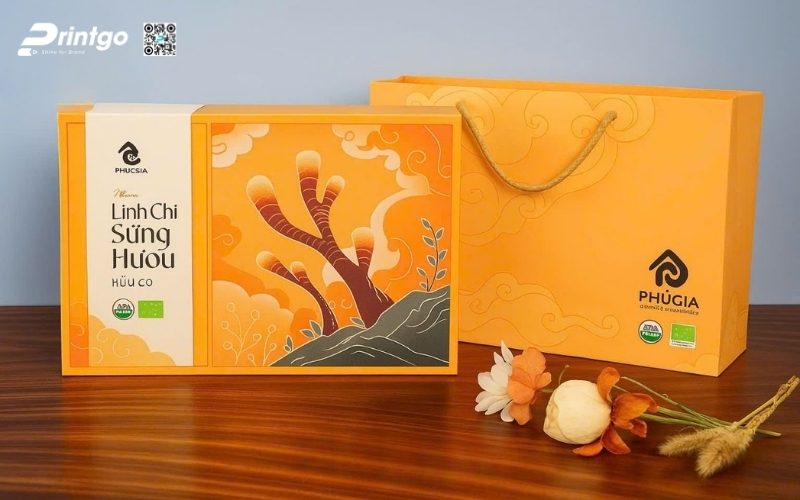 Vì sao hộp quà Tết nấm linh chi được tìm kiếm nhiều dịp Tết 2026? Vì sao hộp quà Tết nấm linh chi được tìm kiếm nhiều dịp Tết 2026?